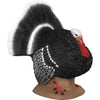 Delta McKenzie Backyard 3D Target Strutter Turkey QuivAR enabled