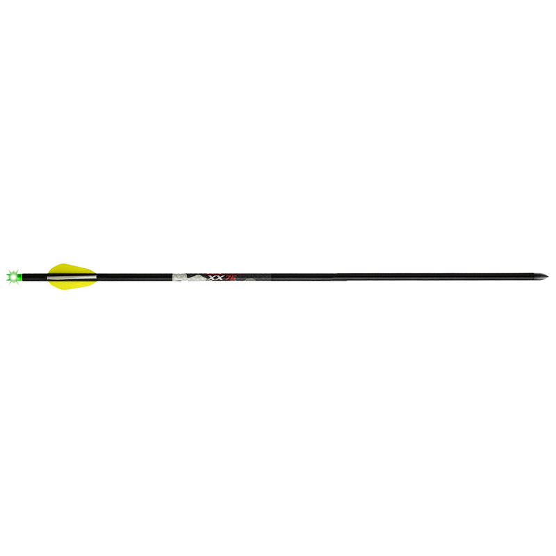 Wicked Ridge Lighted Alpha Brite Arrows Aluminum 20 in. 3 pk.