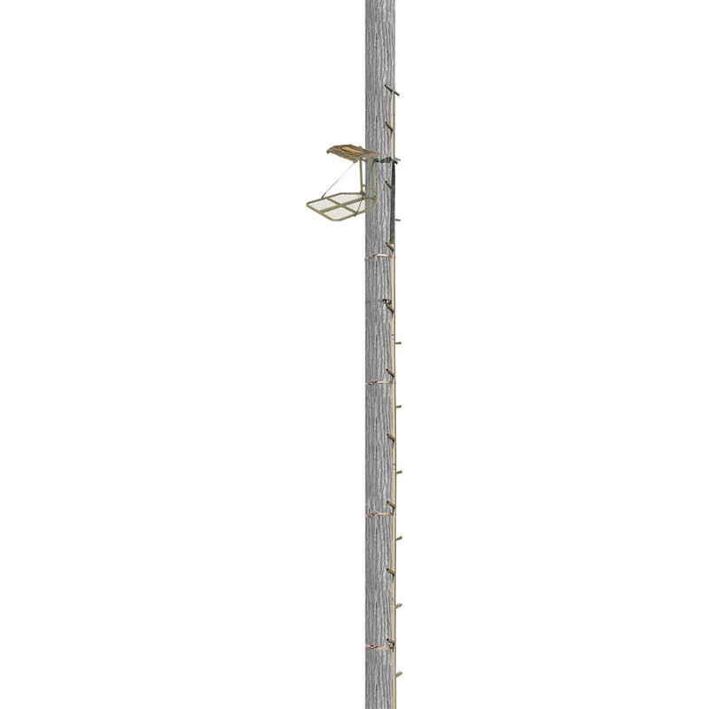 Trophy Treestands Archers Roost Combo Hang On Stand & 20ft. Climbing Sticks