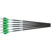 Excalibur ProFlight Crossbow Bolts 16.5 in. 6 pk.