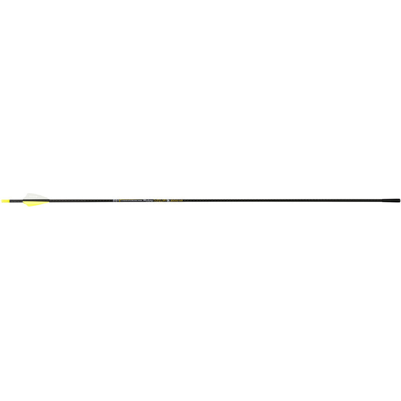 Victory VAP SS Elite Arrows 300 2 in. Vanes 6 pk.