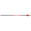 Black Eagle Rampage Arrows .001 250 Blazer Vanes 6 pk.