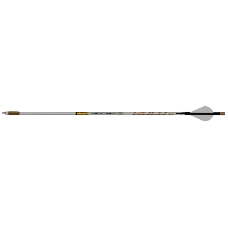 Gold Tip AirStrike Arrows 250 Raptor Vanes 6 pk.