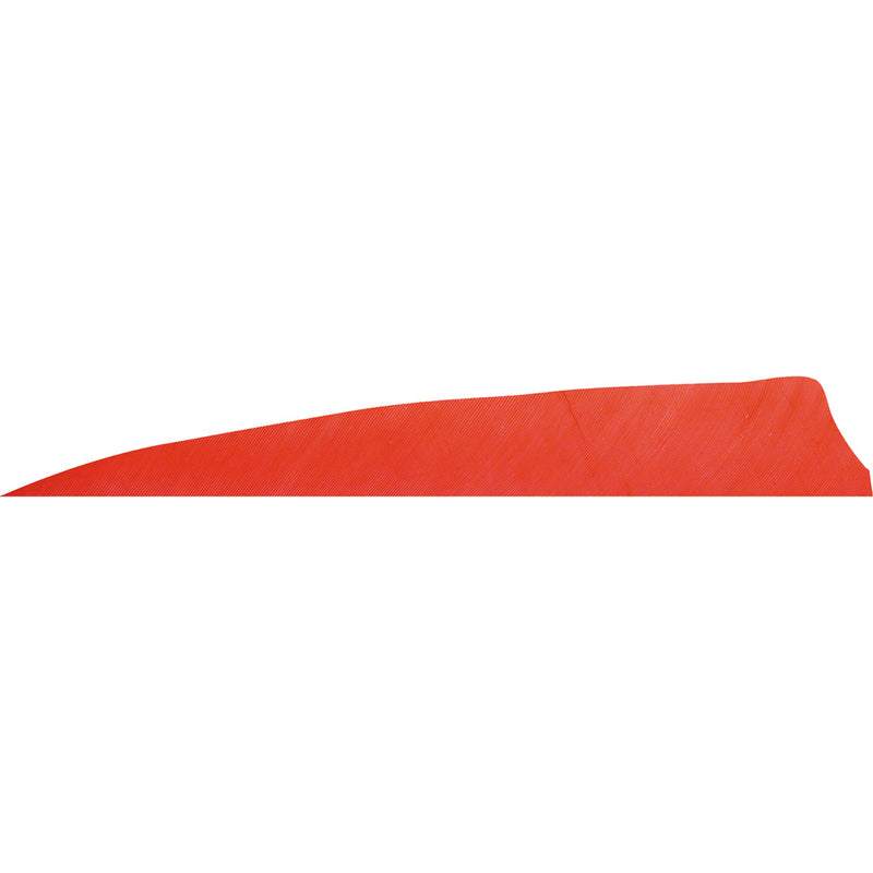 Gateway Shield Cut Feathers Red 4 in. LW 50 pk.