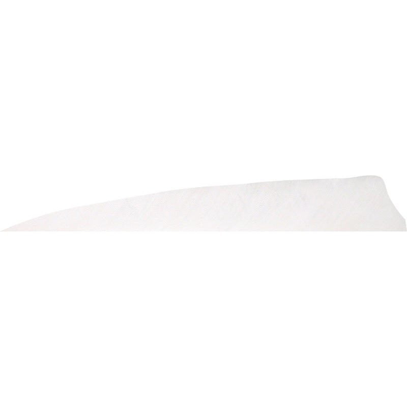 Gateway Shield Cut Feathers Flo White 4 in. RW 50 pk.