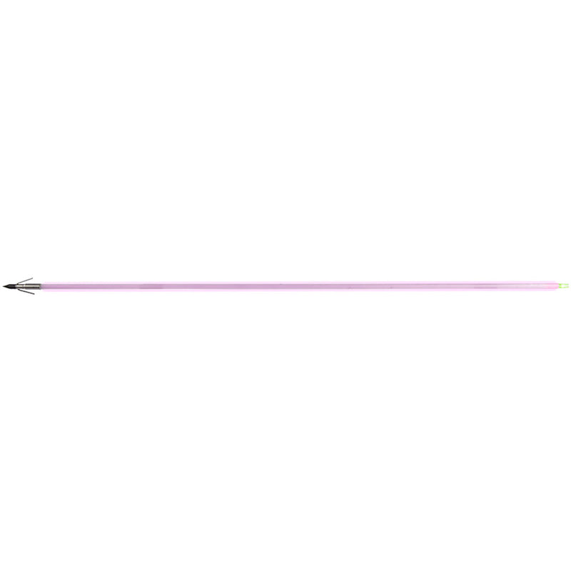 Muzzy Saber Fish Arrow Gar Point