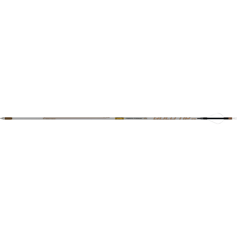 Gold Tip AirStrike Arrows 250 4 Fletch 6 pk.