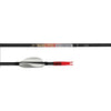 Carbon Express Nano Pro X-Treme Shafts 350 1 doz.