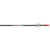 Carbon Express Nano Pro X-Treme Shafts 550 1 doz.