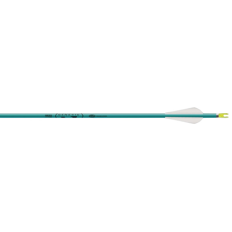Easton Genesis Arrows OD Green 6 pk.