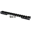 Warne Mountain Tech Rail Matte Black 20 MOA Howa Mina Action