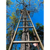 Trophy Treestands Hangtime Ladder