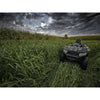Domain Landing Strip Seed 1/4 Acre