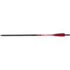 Barnett Demun C10 Hyperbolts 10 in. 6 pk.