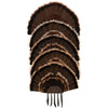 Allen EZ Mount Stacked Turkey Fan Mount 5 stack